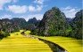 Ngành Nông nghiệp và Phát triển nông thôn Ninh Bình khẳng định vị thế